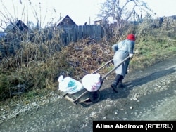 Женщина тащит тележку. Иллюстративное фото.